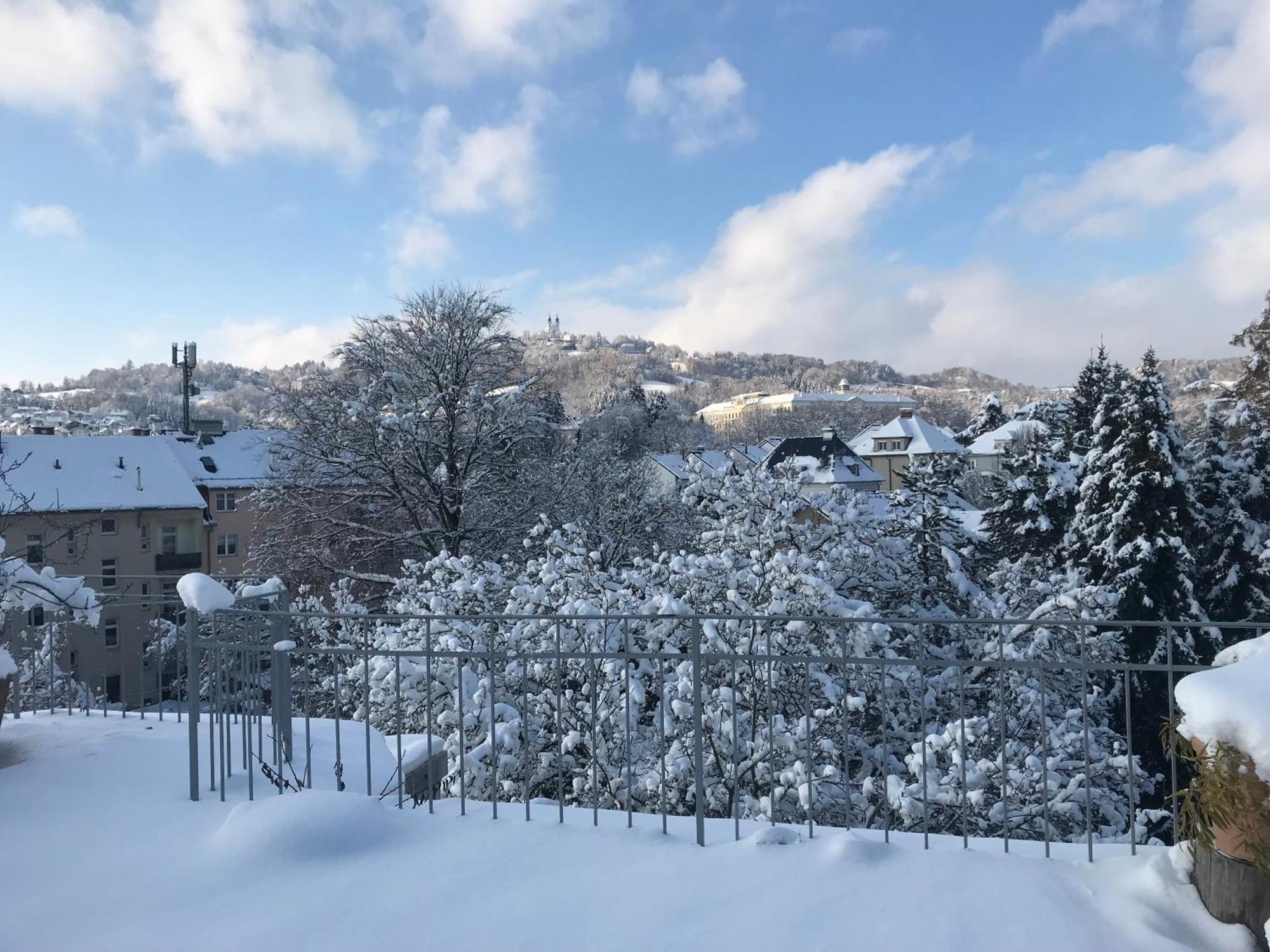 Stadtoase Mit Traumhaftem Ausblick Linz Dış mekan fotoğraf